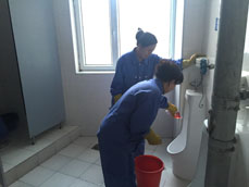&#112;&#103;&#30005;&#23376;&#27169;&#25311;&#22120;&#40;&#35797;&#29609;&#28216;&#25103;&#41;&#23448;&#26041;&#32593;&#31449;